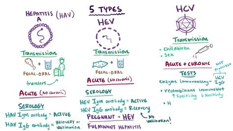 Clinical Overview of Viral Hepatitis